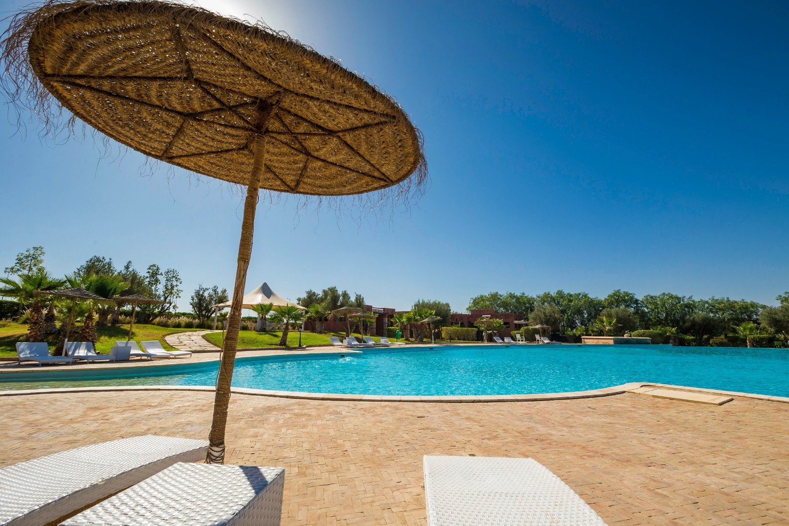 WhatsApp Image 2026-03-21 at 16.30.35 (4)