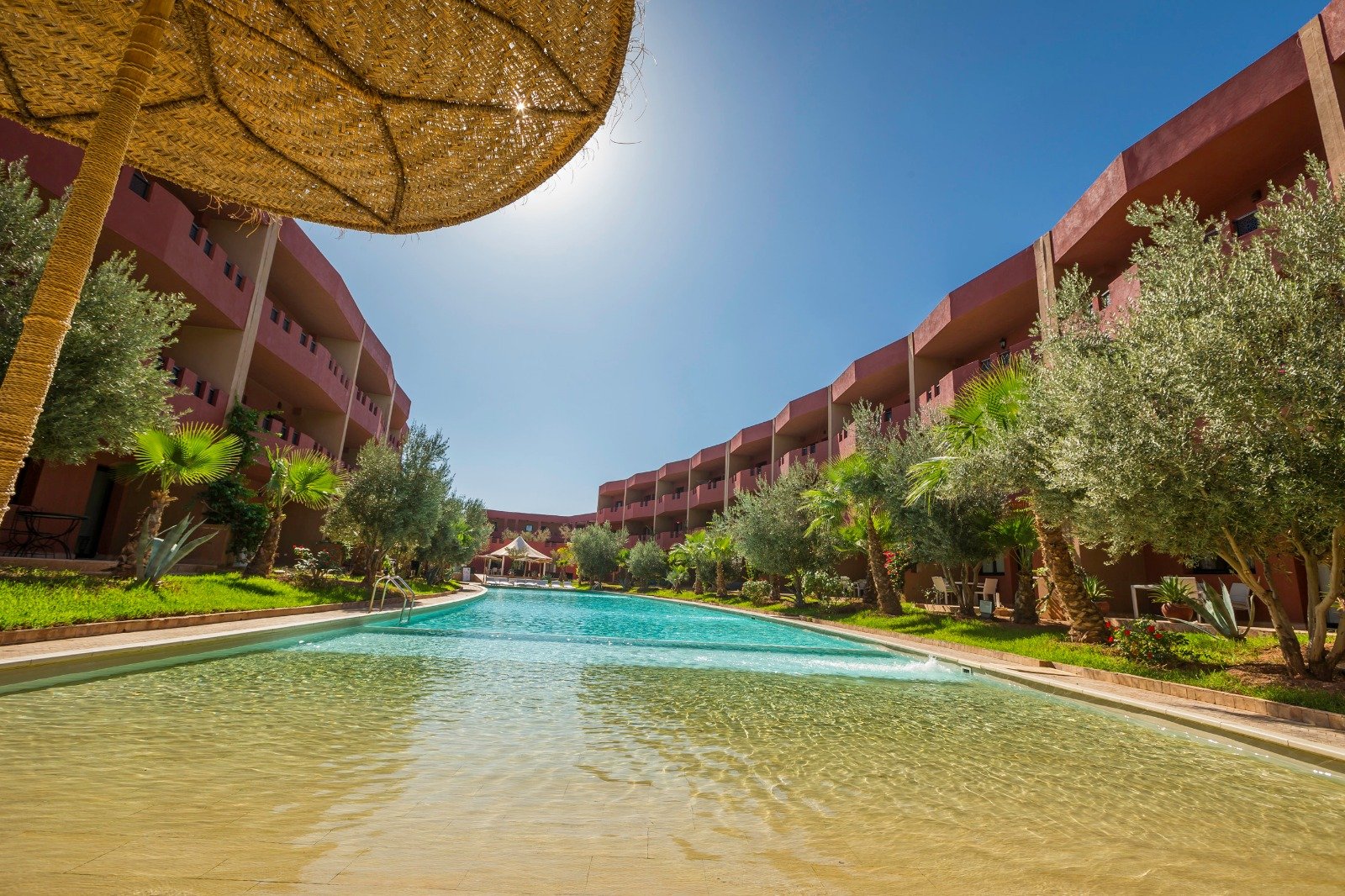 WhatsApp Image 2026-03-21 at 16.30.35 (5)