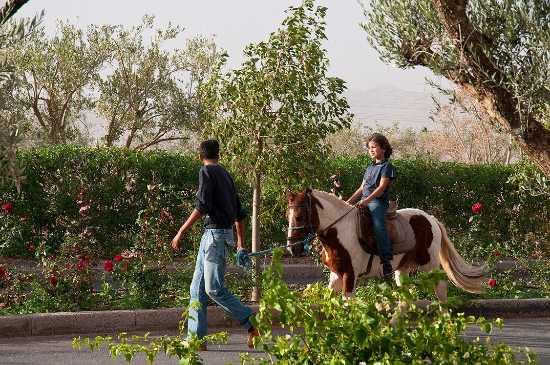 WhatsApp Image 2026-03-21 at 16.32.17 (1)