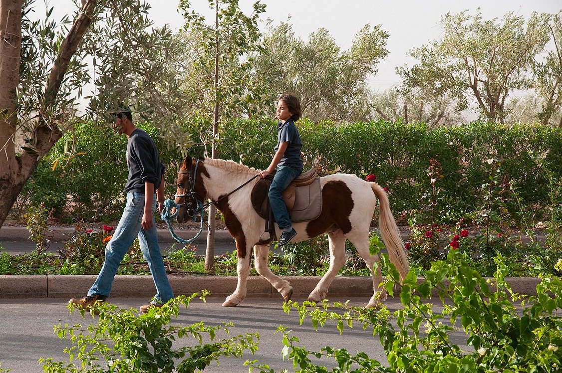 WhatsApp Image 2026-03-21 at 16.32.17 (2)