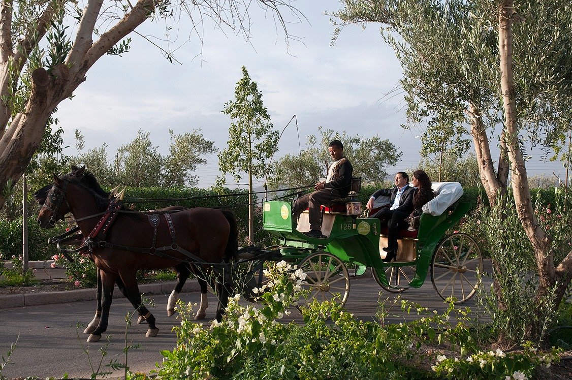 WhatsApp Image 2026-03-21 at 16.32.17 (7)